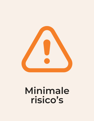 Minimale risico’s